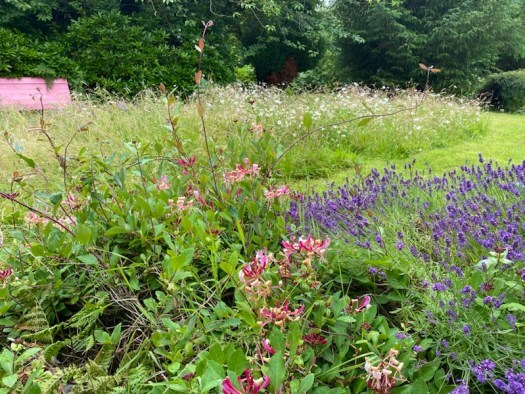 music and words: scent of the garden