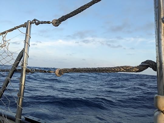 Lifeline gate repair, after