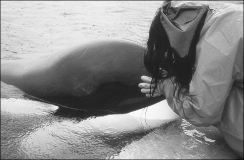 Keiko-with-his-trainer