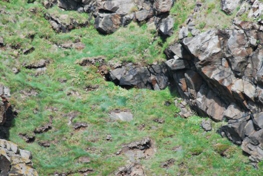 Lord Pitsligo's Cave