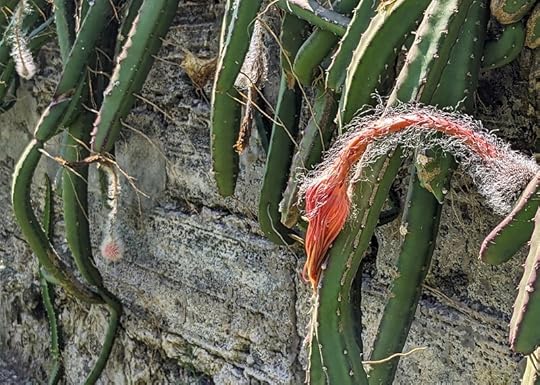 Along the wall