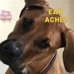ear infection