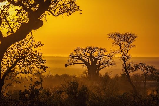 Beyond Trauma Dr. Arielle Schwartz