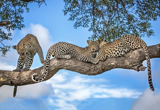 Dr. Arielle Schwartz Beyond Trauma