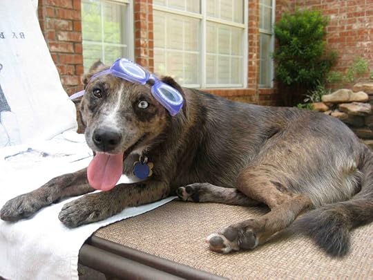 Happy Karlie - Moving Forward, not Moving on