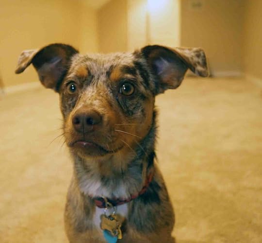 Sweet Sunny - Moving Forward, not moving on