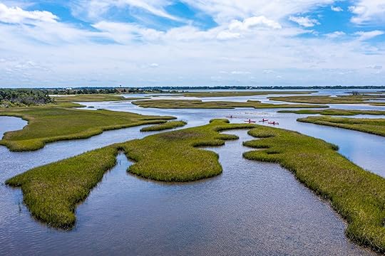 marshes on north carolina's crystal coast