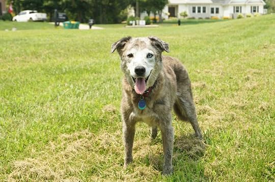 Karlie's birthday 2021