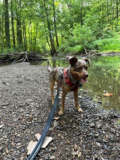 Sunny at Bicentennial Woods for celebration day
