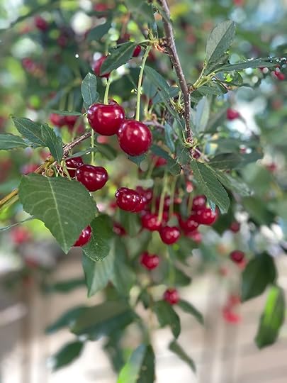 thesimplyluxuriouslife.com | The Simply Luxurious Life