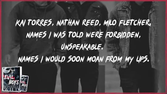 Evil-Boys-by-Clarissa-Wild-5