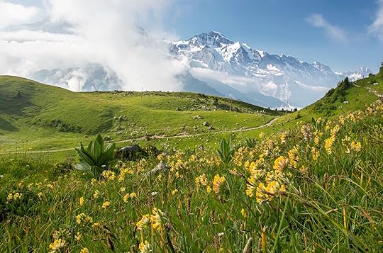 jungfrau-travel-pass