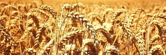 Recensione di L’aria innocente dell’estate di Melissa Harrison