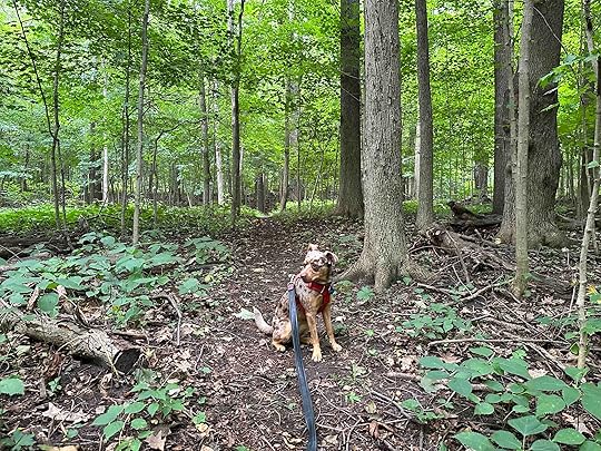 Olin Lake Nature Preserve