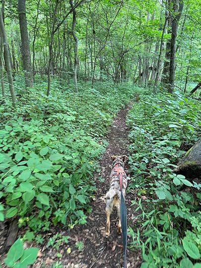 Olin Lake Nature Preserve