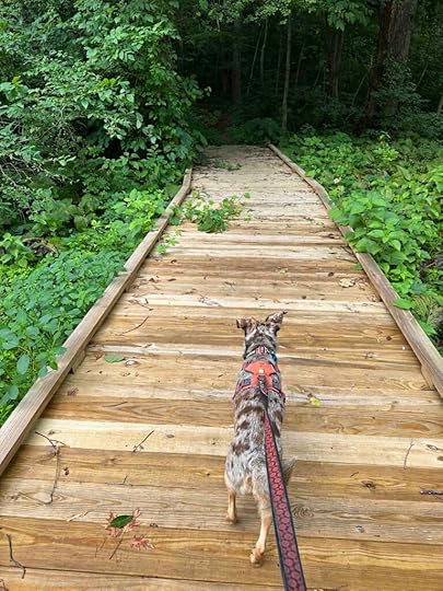 Olin Lake Nature Preserve