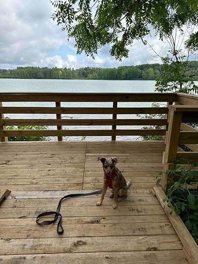 View of Olin Lake at Olin Lake Nature Preserve