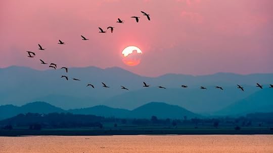 birds fly over the Krasiao Dam in Suphan Buri, Thailand