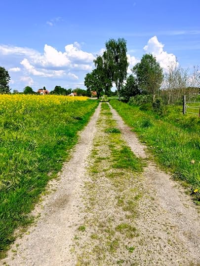 Ein Feldweg auf dem Land, im Hintergrund Bäume