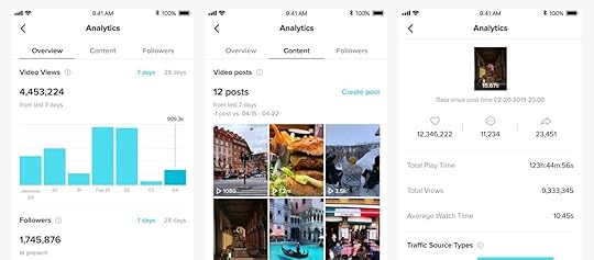 TikTok Algorithm: sub-culture