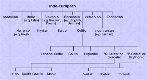 The term Celts (pronounced "kelts" or "selts") were an Indo-European and ethno-linguistically ...