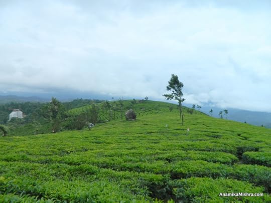 You Must Visit THIS LAKE with Healing Powers Near MUNNAR