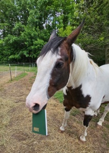 horse tasting a guide book