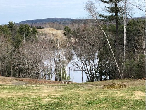 This is a view down into the kettle hole pond. From Watery Inspiration