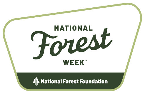 Camp for Free at a National Forest!