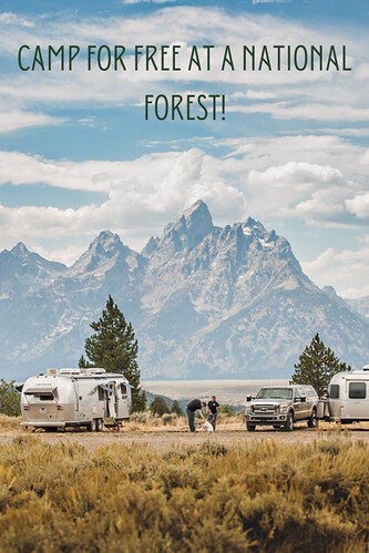 Camp for Free at a National Forest!