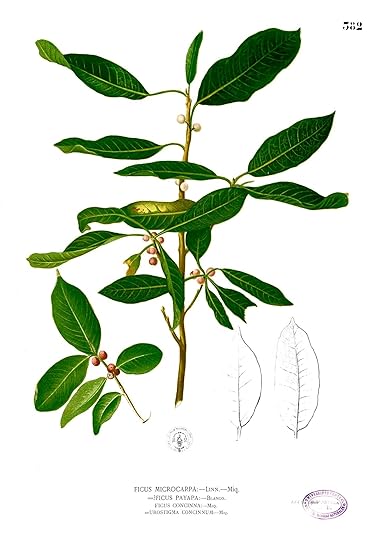 The Future Of Invasive Species Mitigation