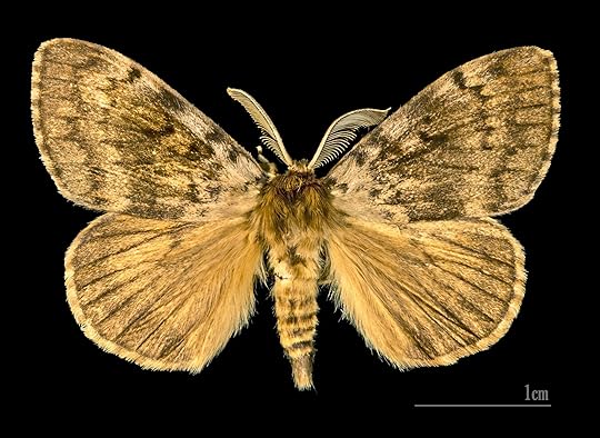 The Future Of Invasive Species Mitigation