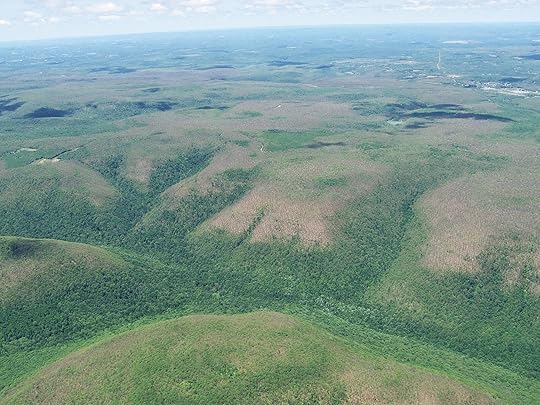 The Future Of Invasive Species Mitigation