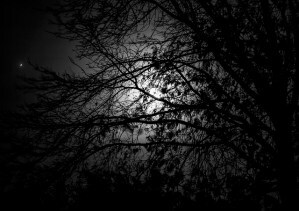 Introduction to Deathwalking Class | Soul Intent Arts, Kelley Harrell