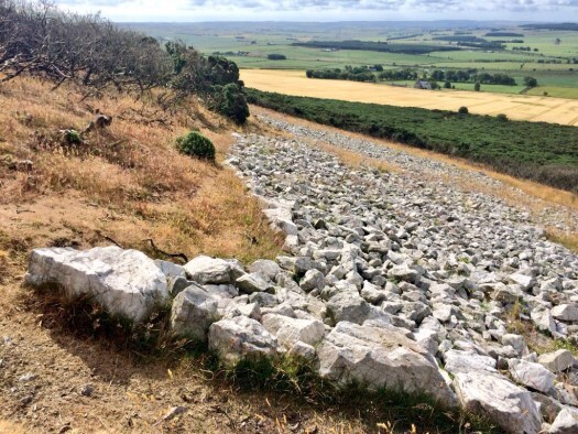 Ear of the white horse on Mormond Hill