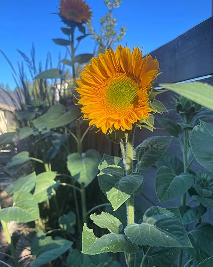 thesimplyluxuriouslife.com | The Simply Luxurious Life