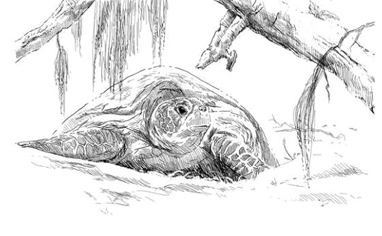 Is sea turtle civilisation the oldest in Europe?