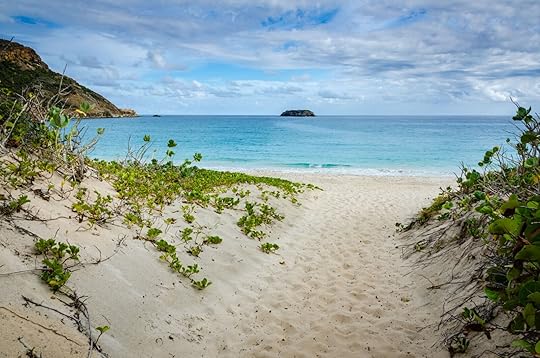best st barts beaches - saline