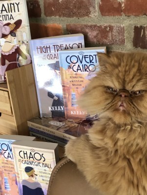 picture of Kelly's cat posed by her books