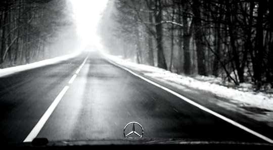 Straight road through a winter forest