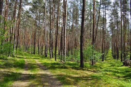 Changing your life step by step. Two paths.