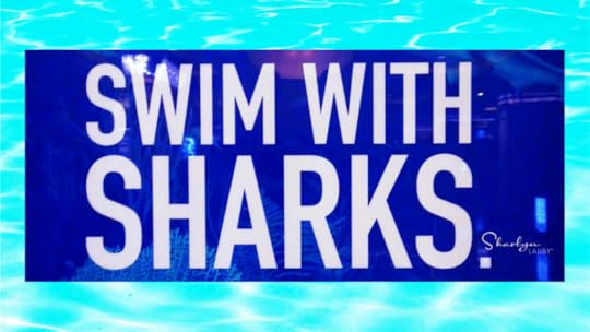 graphic sign swim with sharks describing HR Human Resources and drama
