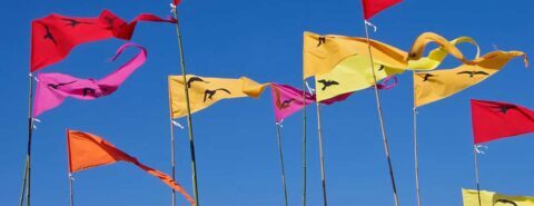 Red, yellow, pink, and orange pennant flags against a blue sky to illustrate the blog post 