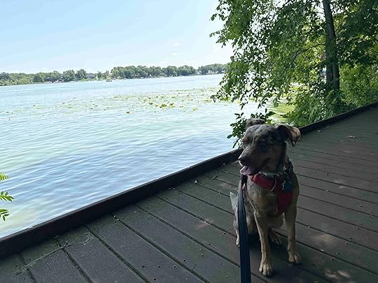 Gene Stratton-Porter trails