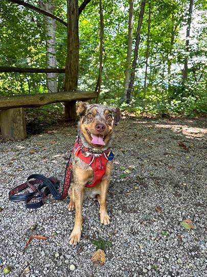 Sunny at Gene Stratton-Porter trails