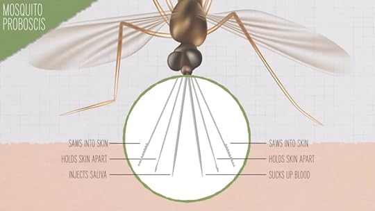 Mosquitoes can be attracted to the kind of chemicals on your skin.