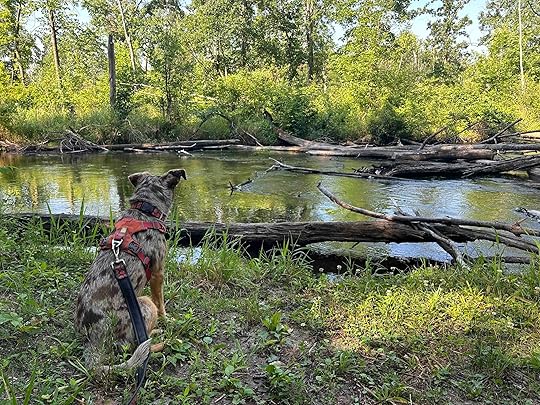 Fawn River Nature Preserve