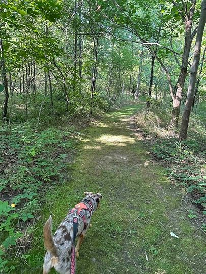 Sunny at Fawn River Nature Preserve