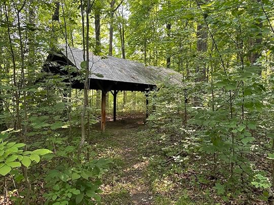 Shelter in the woods