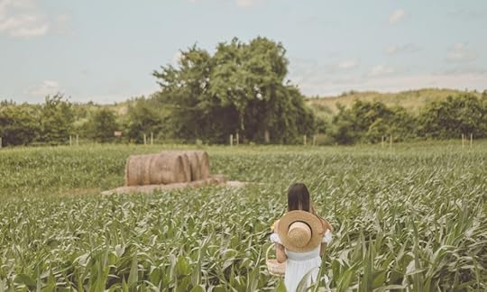 woman standing in a corn field with hay rolls, how to write a memoir